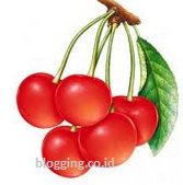 Obat Asam Urat