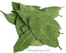 Obat Asam Urat