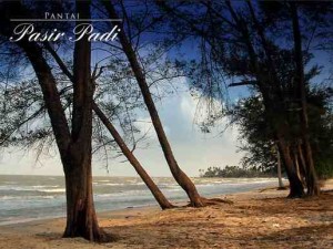 pantai pasir padi