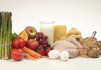 Program Diet Sehat