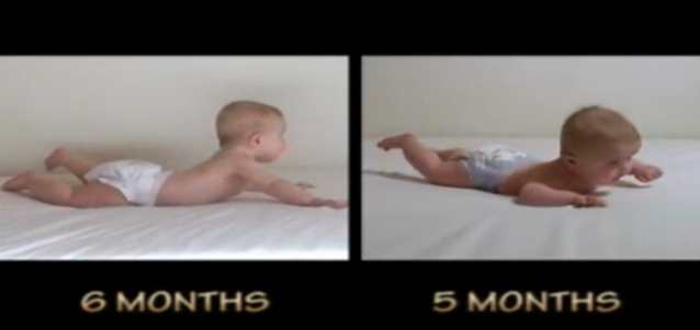 Perbandingan Bayi 6 Bulan dan 5 Bulan Perbandingan Bayi 6 Bulan dan 5 Bulan