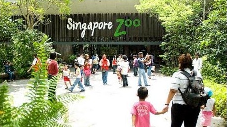 kebun binatang singapore
