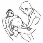 dokter kandungan