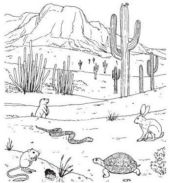 kehidupan fauna di gurun
