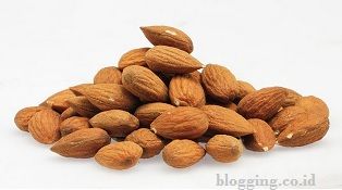 makanan yang mengandung vitamin e